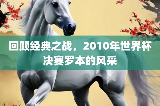回顾经漯河市盈旭机械设备有限公司典之战，2010年世界杯决赛罗本的风采