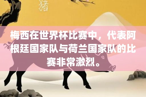 梅西在世界杯比赛中，代表阿根廷国家队与荷兰国家队的比赛非常激烈。