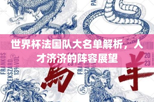 世界杯法国队大名单解析，人才济济的阵容展望漯河市盈旭机械设备有限公司