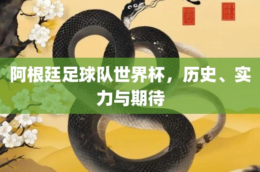 阿根廷足球队世界杯，历史、实力与期待