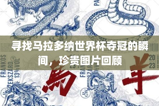 寻找马拉多纳世界杯夺冠的瞬间，珍漯河市盈旭机械设备有限公司贵图片回顾