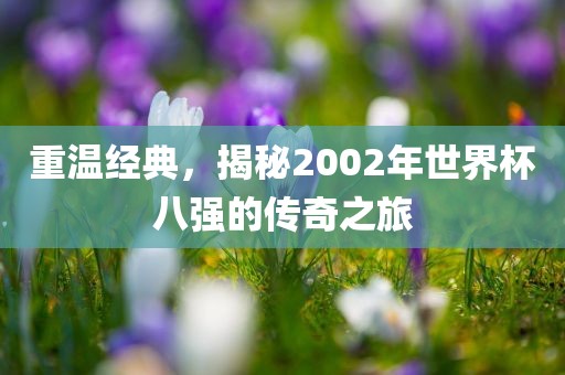 重温经典，揭秘2002年世界杯八强的传奇之旅