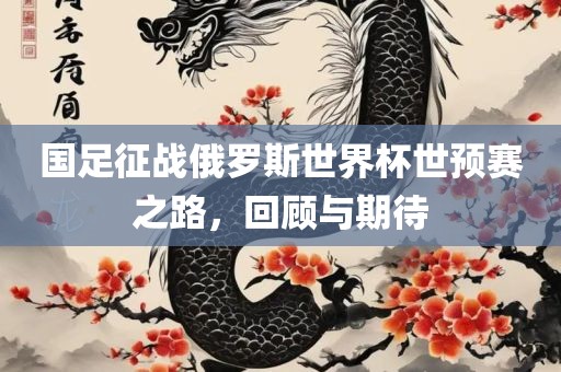 国足征战俄罗斯世界杯世预赛之路，回顾与期待