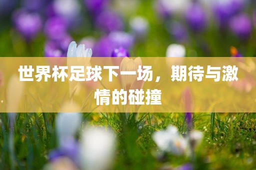世界杯足球下一场，期待与激情的碰撞