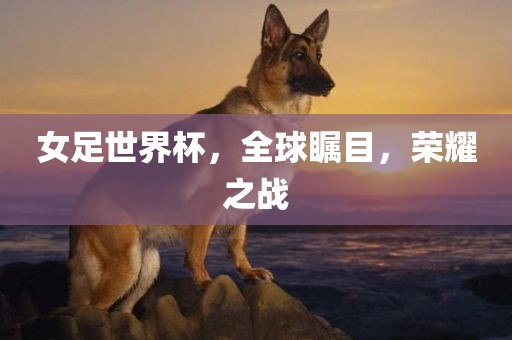 女足世界杯，全球瞩目，荣耀之战