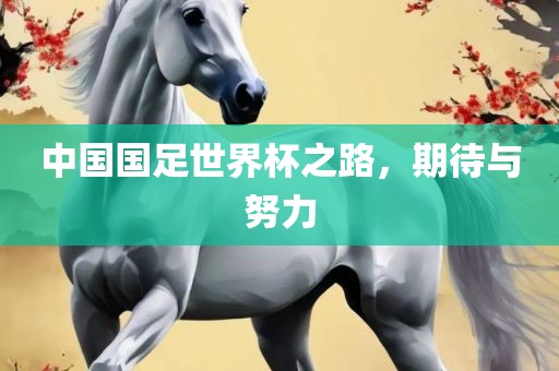 中国国足世界杯之路，期待与努力