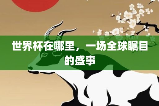 世界杯在哪里，一场全球瞩目的盛事