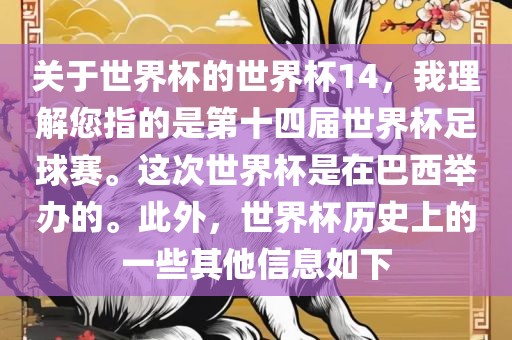 关于世界杯的世界杯14，我理解您指的是第十四届世界杯足球赛。这次世界杯是在巴西举办的。此外，世界杯历史上的一些其他信息如下