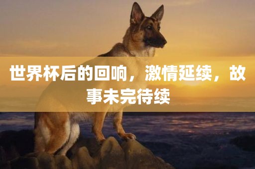 世界杯后的回响，激情延续，故事未完待续漯河市盈旭机械设备有限公司