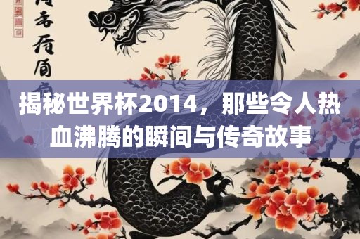 揭秘世界杯2014，那些令人热血沸腾的瞬间与传奇故事
