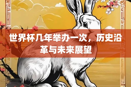 世界杯几年举办一次，历史沿革与未来展望