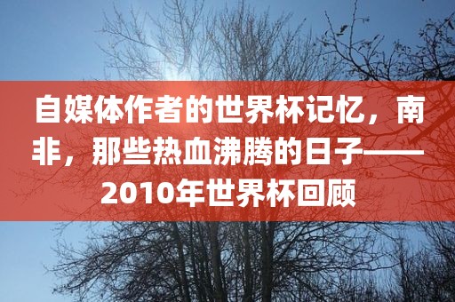 自媒体作者的世界杯记忆，南非，那些热血沸腾的日子——2010年世界杯回顾