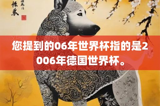 您提到的06年世界杯指的是2006年德国世界杯。