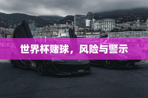 世界杯赌球，风险与警示