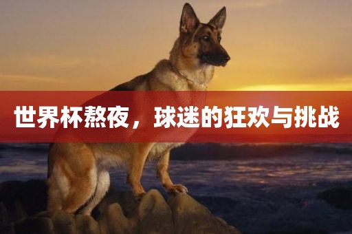 世界杯熬夜，球迷的狂欢与挑战