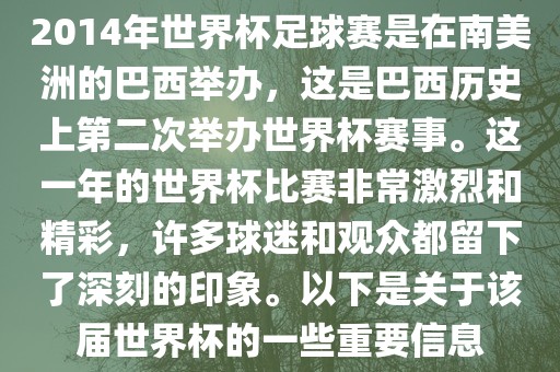 2014年世界杯足球赛是在南美洲的巴西举办，这是巴西历史上第二次举办世界杯赛事。这一年的世界杯比赛非常激烈和精彩，许多球迷和观众都留下了深刻的印象。以下是关于该届世界杯的一些重要信息