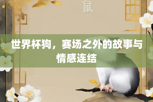 世界杯狗，赛场之外的故事与情感连结