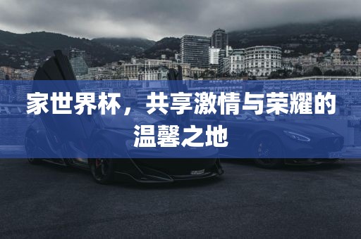 家世界杯，共享激情与荣耀的温馨之地