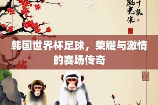 韩国世界杯足球，荣耀与激情的赛场传奇