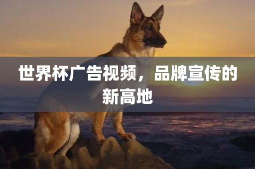 世界杯广告视频，品牌宣传的新高地