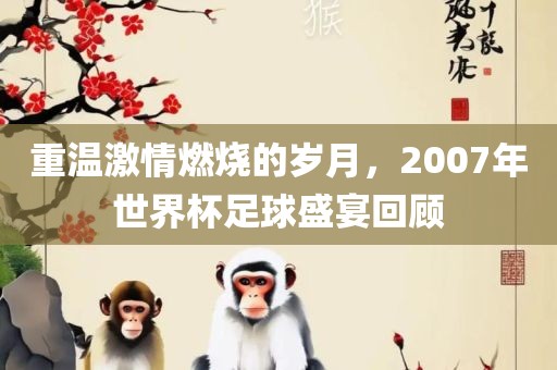 重温激情燃烧的岁月，2007年世界杯足球盛宴回顾