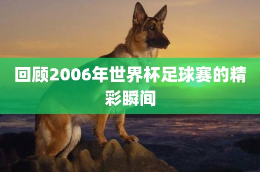 回顾2006年世界杯足球赛的精彩瞬间