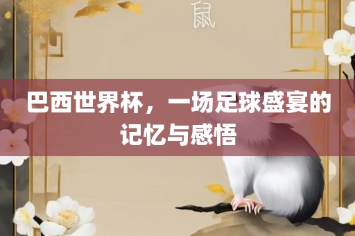 巴西世界杯，一场足球盛宴的记忆与感悟