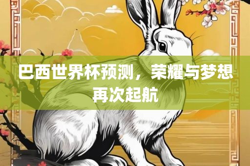 巴西世界杯预测，荣耀与梦想再次起航