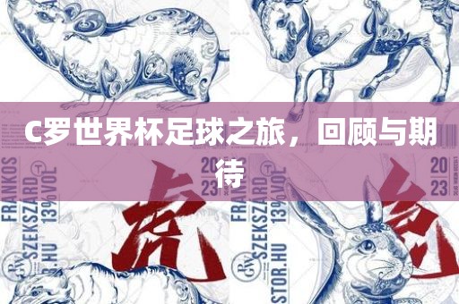C罗世界杯足球之旅，回顾与期待
