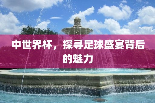 中世界杯，探寻足球盛宴背后的魅力