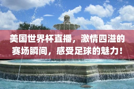 美国世界杯直播，激情四溢的赛场瞬间，感受足球的魅力！