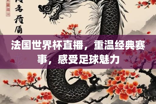 法国世界杯直播，重温经典赛事，感受足球魅力