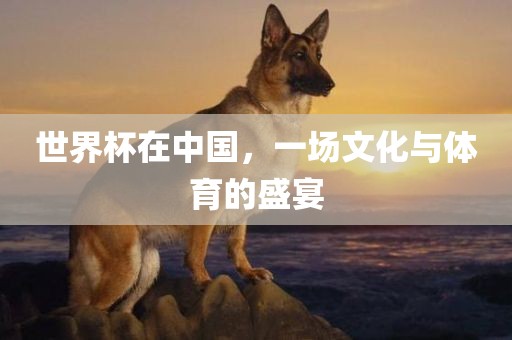 世界杯在中国，一场文化与体育的盛宴