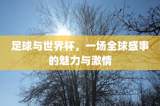 足球与世界杯，一场全球盛事的魅力与激情