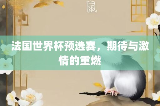 法国世界杯预选赛，期待与激情的重燃