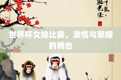 世界杯女排比赛，激情与荣耀的舞台