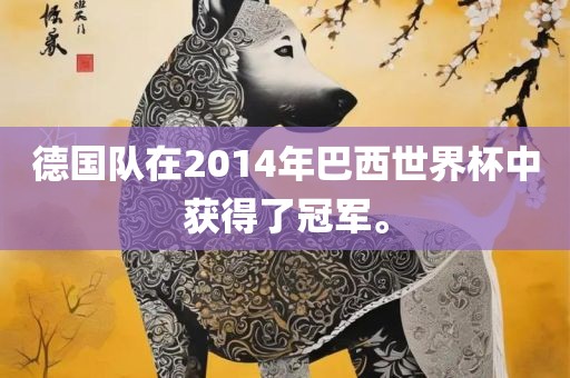 德国队在2014年巴西世界杯中获得了冠军。