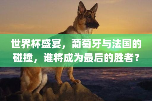 世界杯盛宴，葡萄牙与法国的碰撞，谁将成为最后的胜者？