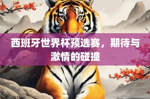 西班牙世界杯预选赛，期待与激情的碰撞