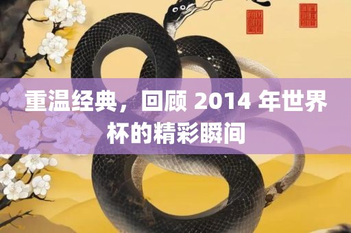 重温经典，回顾 2014 年世界杯的精彩瞬间