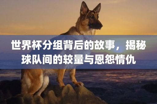 世界杯分组背后的故事，揭秘球队间的较量与恩怨情仇