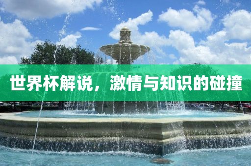 世界杯解说，激情与知识的碰撞