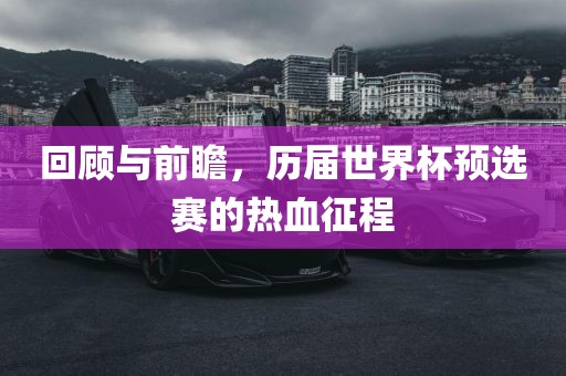 回顾与前瞻，历届世界杯预选赛的热血征程
