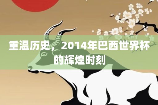 重温历史，2014年巴西世界杯的辉煌时刻