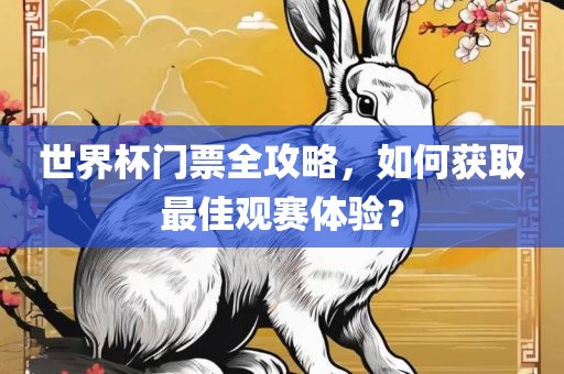 世界杯门票全攻略，如何获取最佳观赛体验？