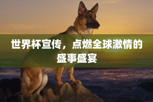 世界杯宣传，点燃全球激情的盛事盛宴