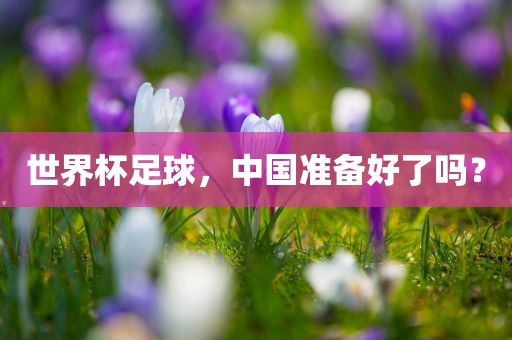 世界杯足球，中国准备好了吗？