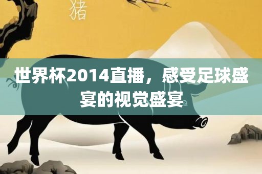 世界杯2014直播，感受足球盛宴的视觉盛宴
