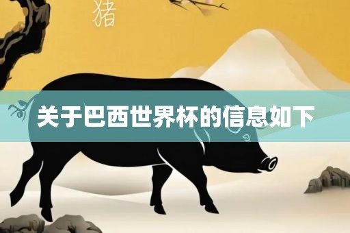 关于巴西世界杯的信息如下