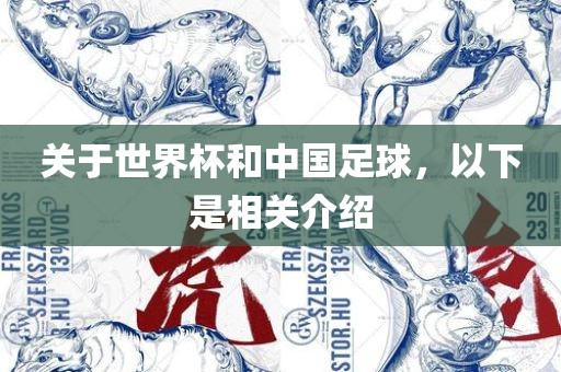 关于世界杯和中国足球，以下是相关介绍